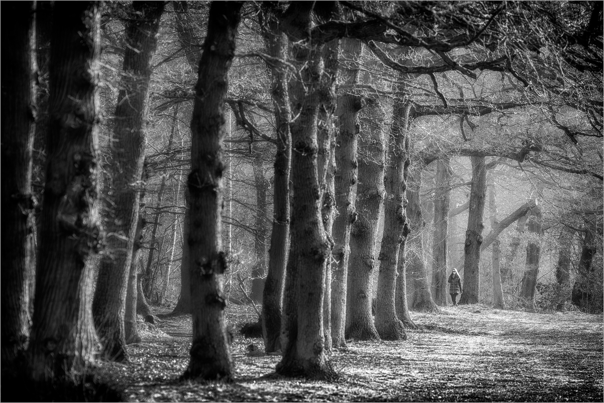 KRS 1778 DxO 3 final