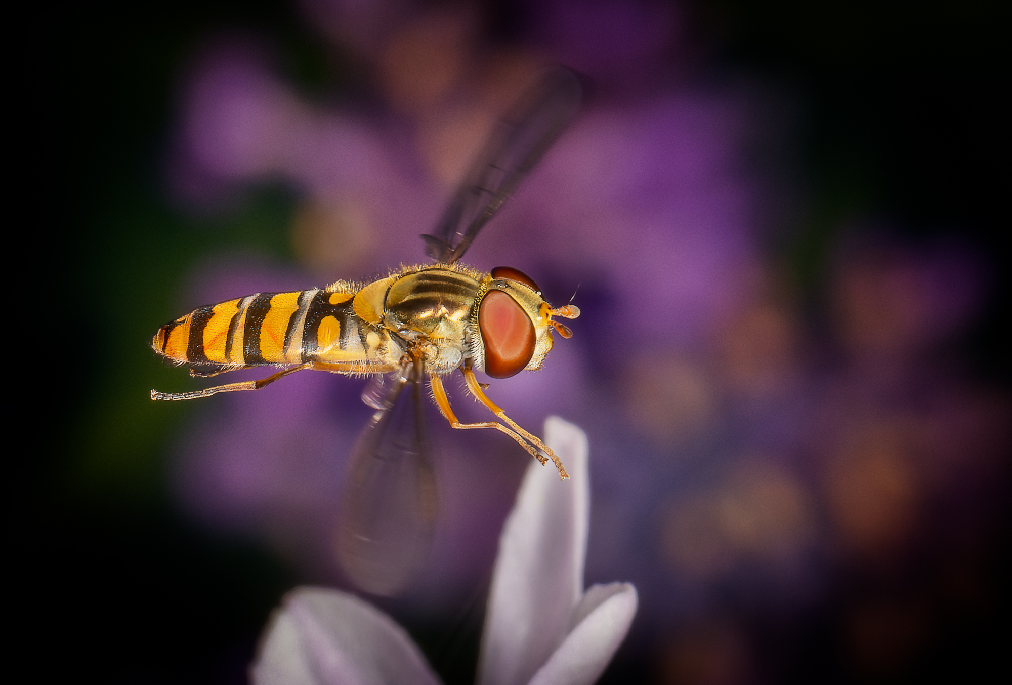  KS23166 DxO Enhanced 1