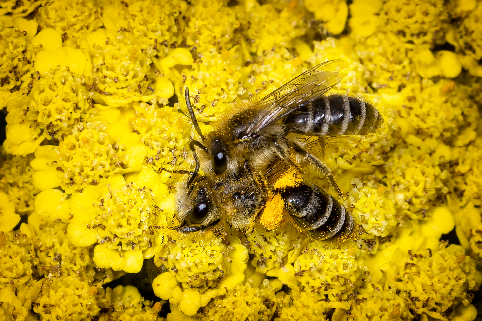  KS23296 DxO Enhanced 1