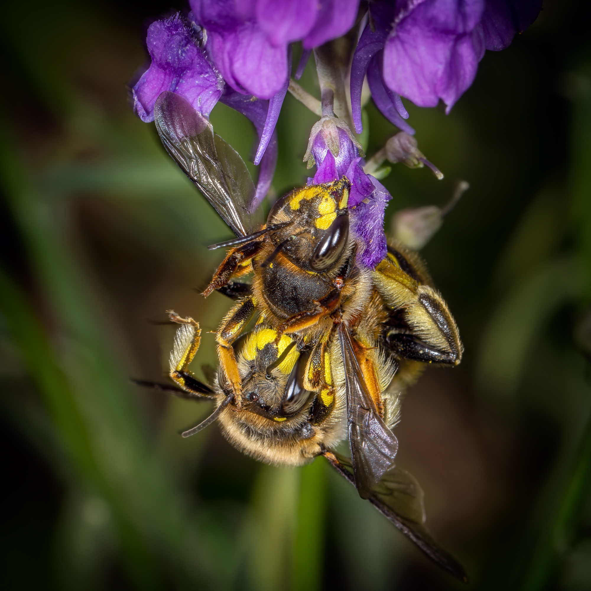  KS23304 DxO Enhanced 1