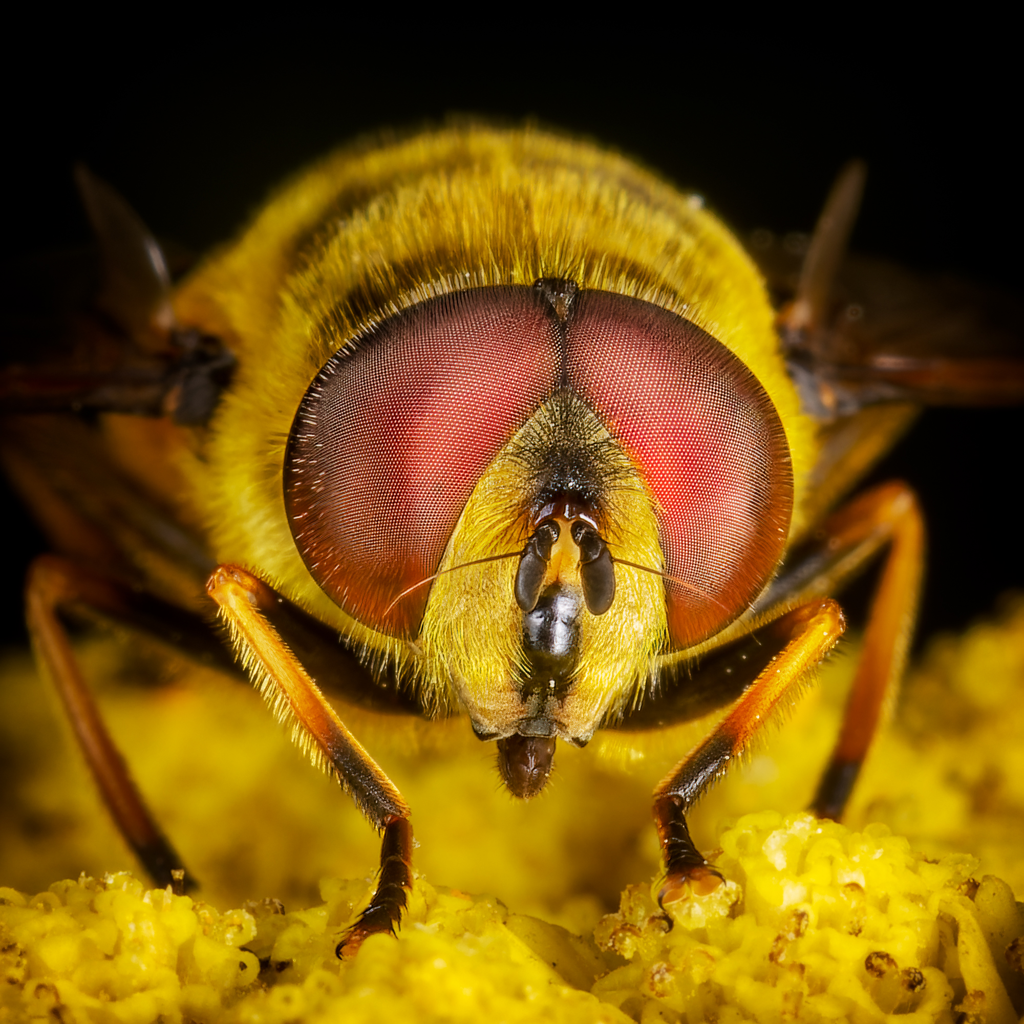  KS23944 DxO Enhanced 3