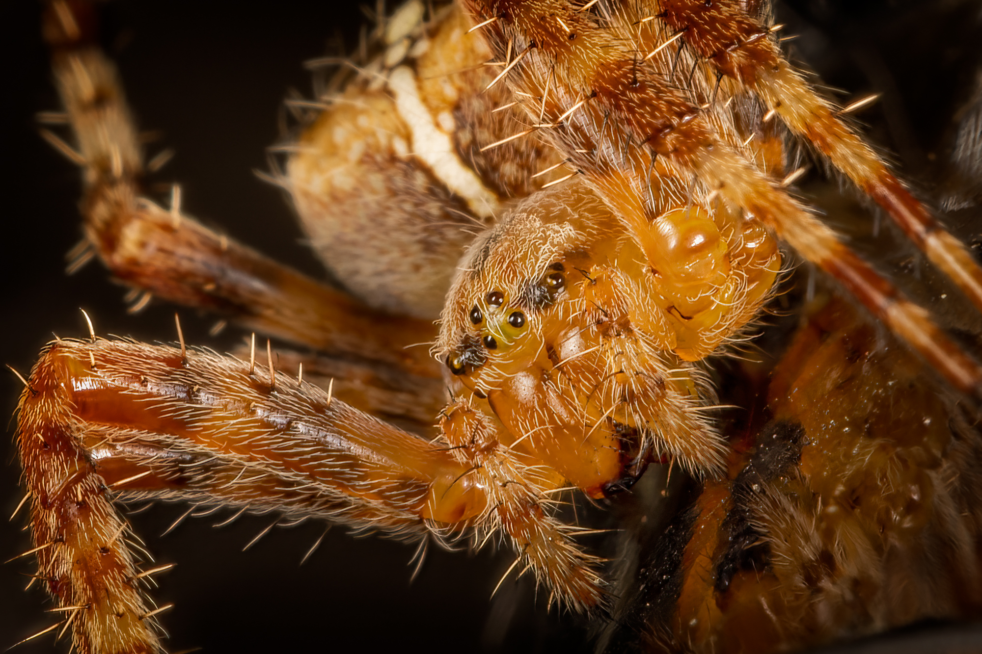  KS23969 DxO Enhanced 1