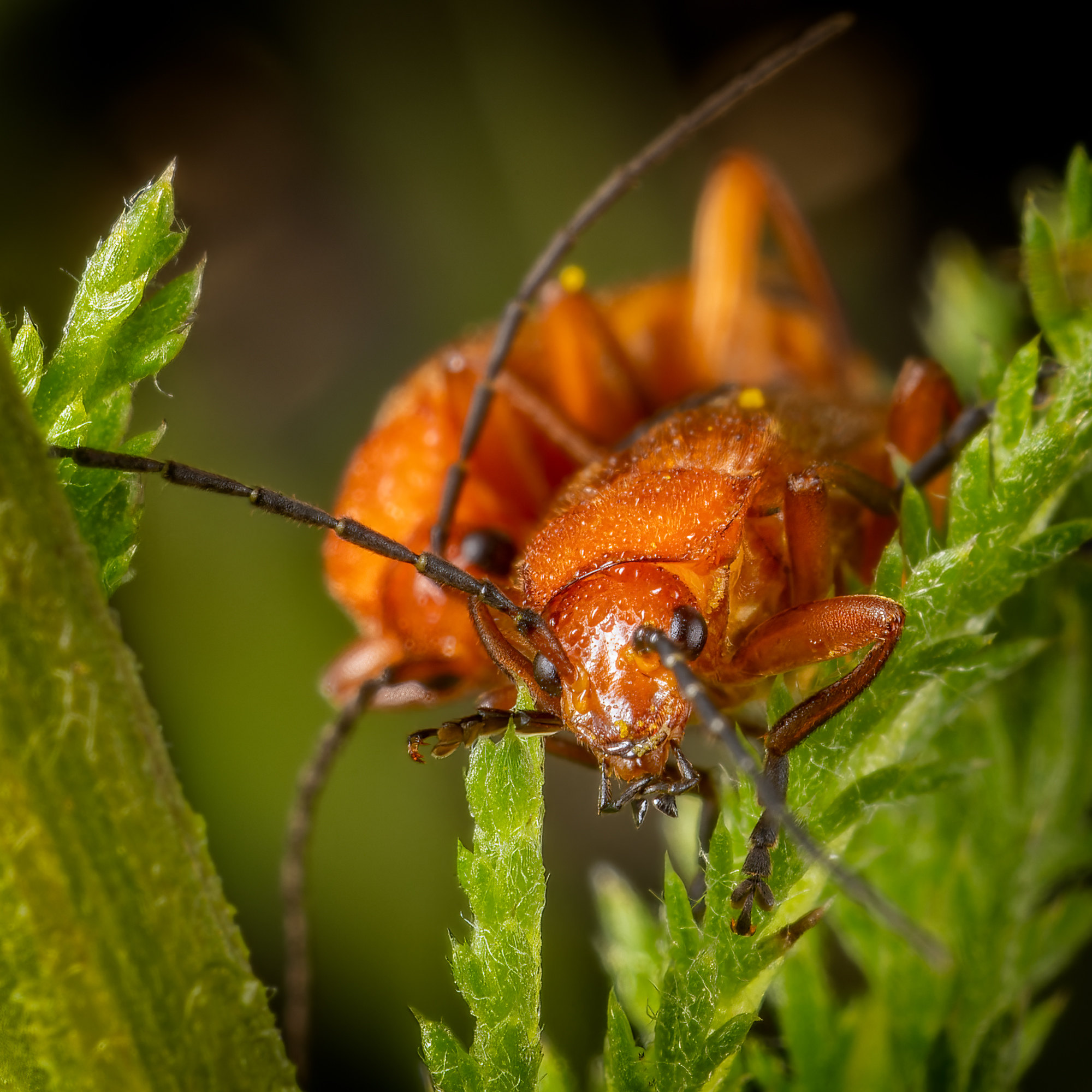  KS24813 DxO Enhanced 1 1