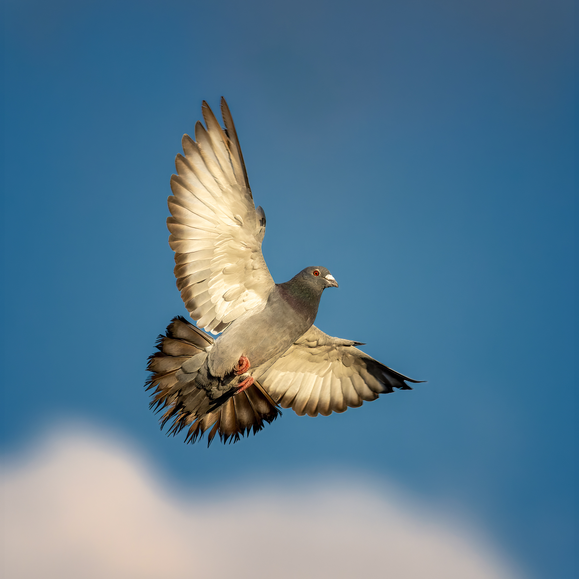  KS25888 DxO Enhanced 1